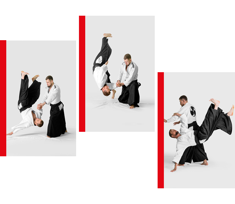 techniques d'aïkido